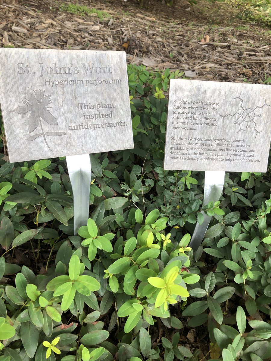 Natural products are everywhere! Stop by the <a href="/UNC/">The University of North Carolina at Chapel Hill</a> medicinal plant garden for more fun natural product facts 🌱🧪