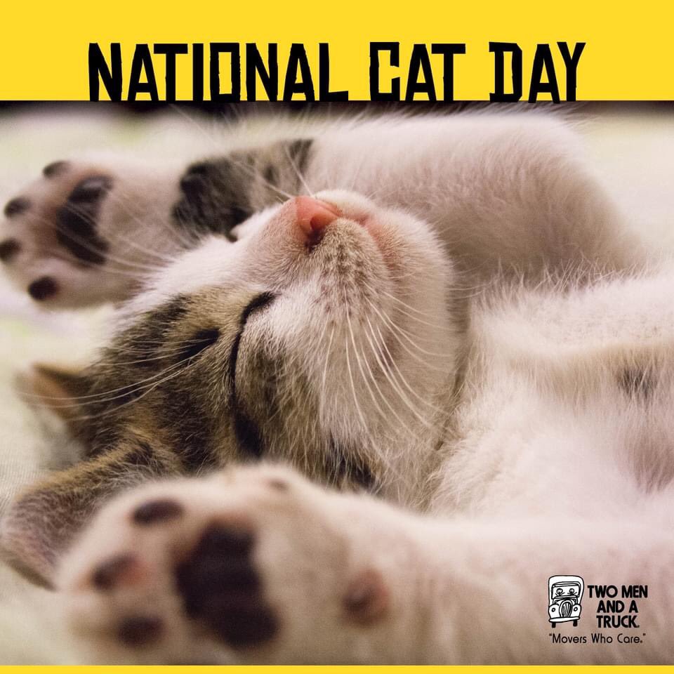 TwoMenOKC's tweet image. #NationalCatDay is the perfect excuse to spoil your fur baby! #MoversWhoCare 🐱