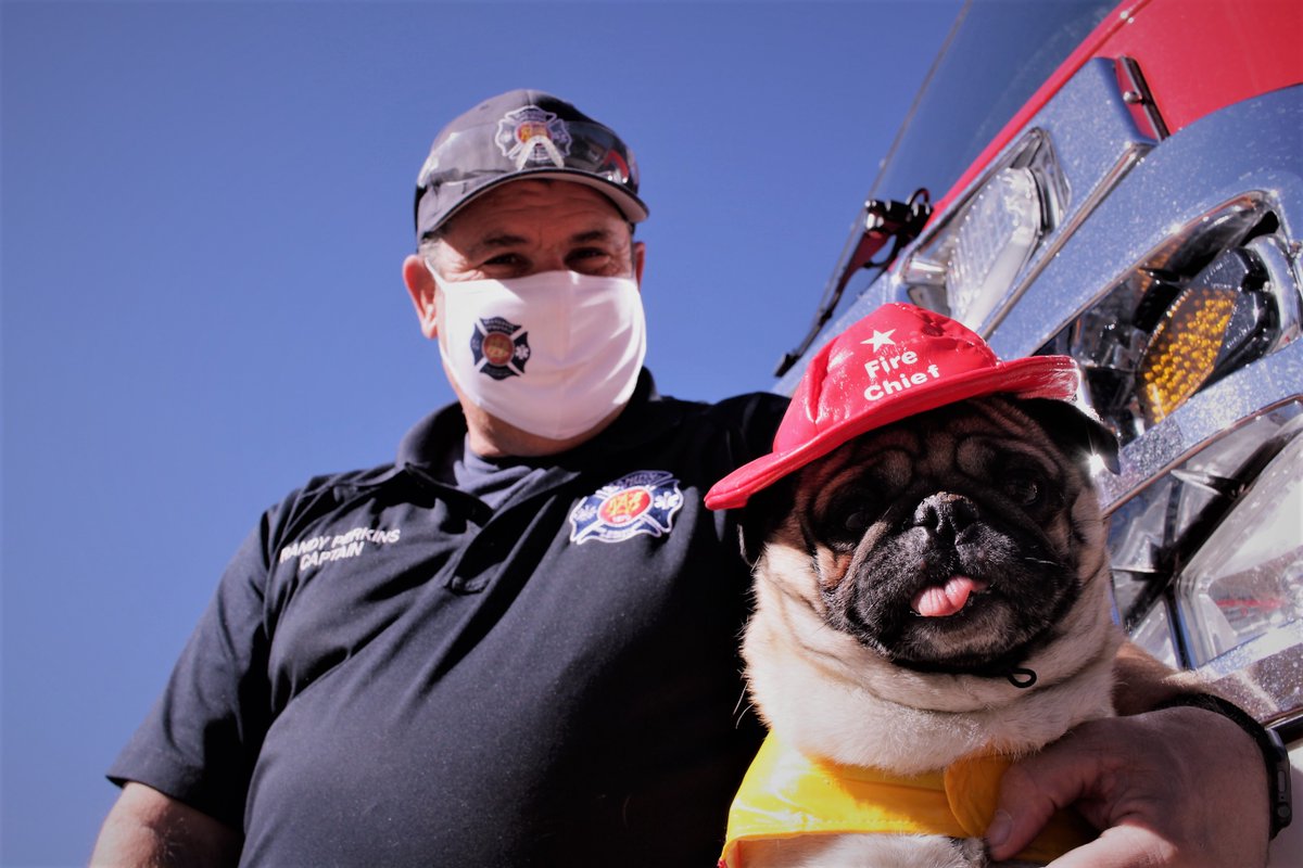 We did not host a costume contest, but if we did, I think you know who won 🐕