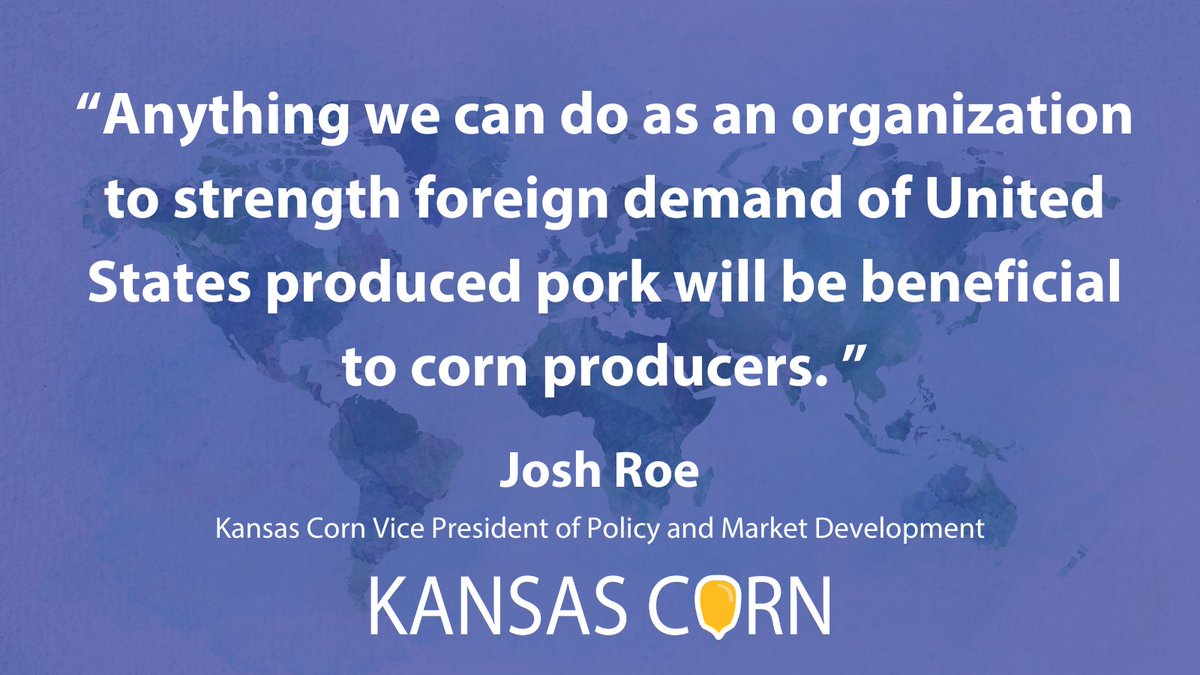 kscorn's tweet photo. Learn more about the export relationship we've built with South Korea and how corn farmers are benefitting from U.S. pork exports on the #kscorn blog at https://t.co/tgGwyMswH1 #EatPork #Porktober #PorkMonth #corn2020 https://t.co/68CjmhqAYb