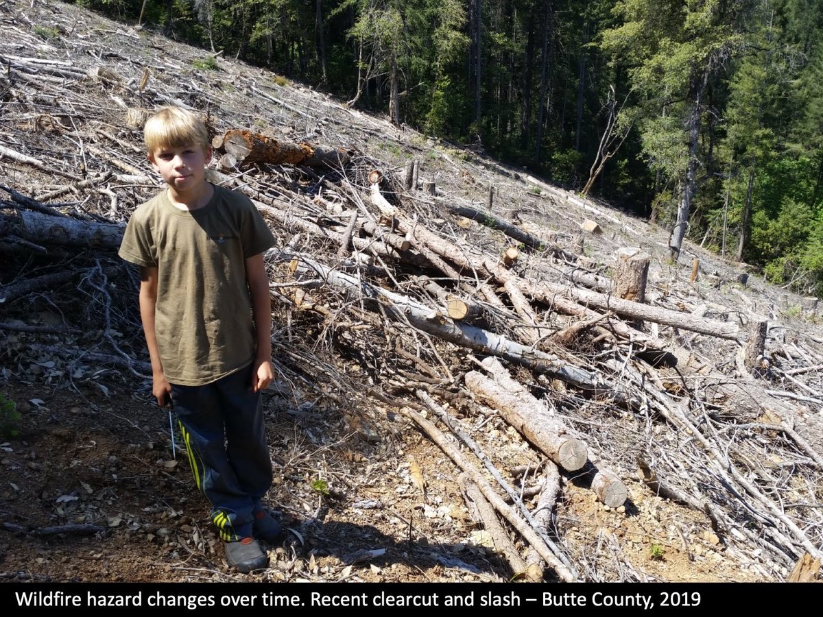 One of Cal Fire's original charters was to protect industrial timberlands from wildfire losses. Fire behavior is often more extreme in recently-logged areas, and a fire burning across mixed ownership often has lower fire severities on the unlogged or logged-long-ago public lands.