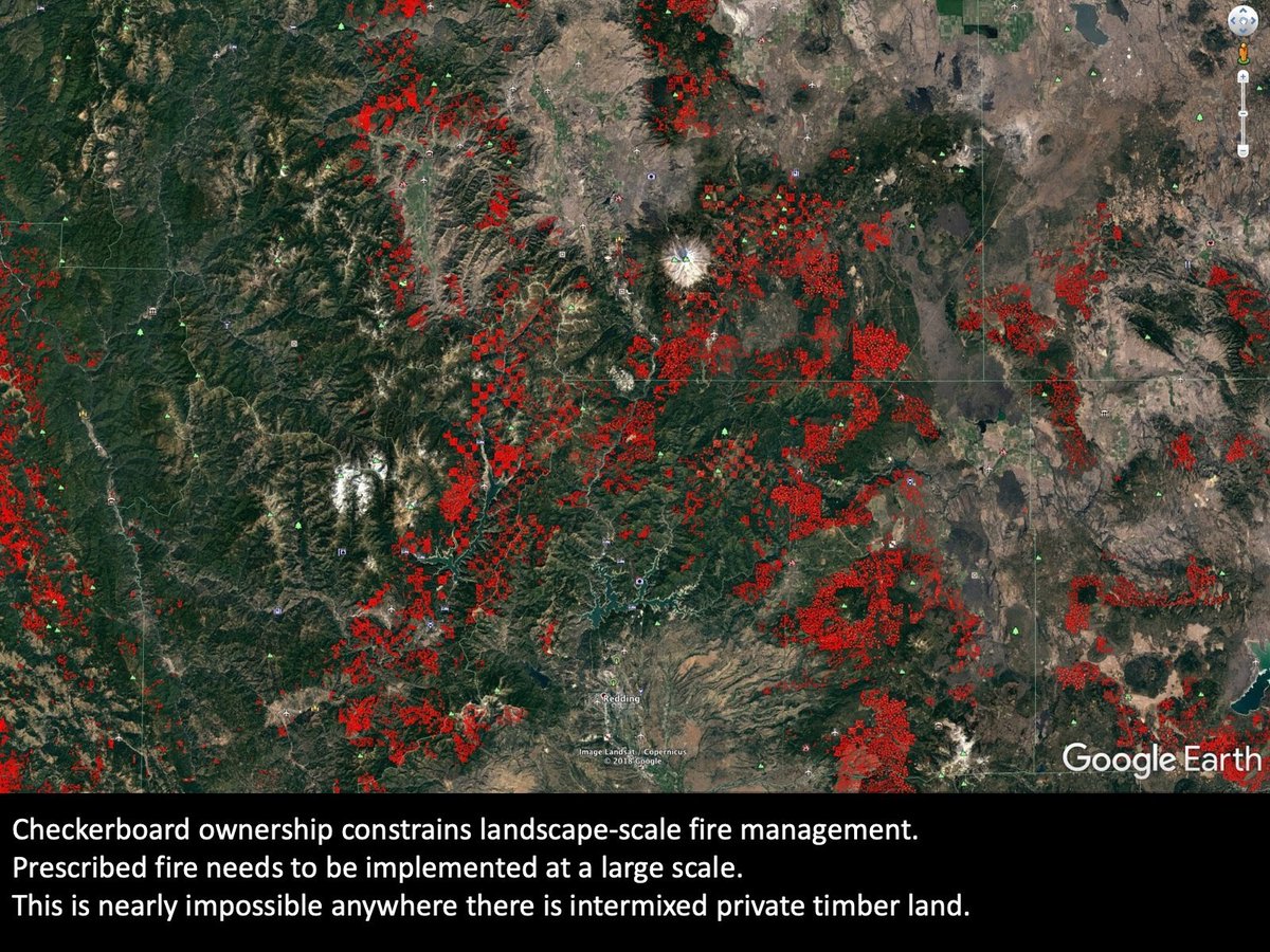 When a Federal fire team picks a 'big box' strategy for their fire, it may result in beneficial outcomes for the public lands, but private timberlands inside the box often get nuked. Clearcut forestry has decreased fire resiliency across vast stretches of private lands in NorCal.