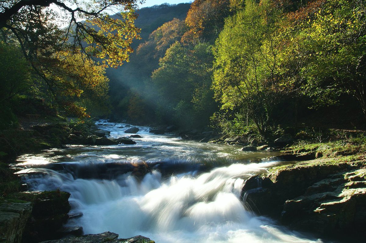 We might be a bit biased, but Devon is one of the most beautiful places in the UK and with its varied landscape, it is the ultimate destination for a walking holiday. Here are some suggestions for amazing autumn walks and equally amazing places to stay: bit.ly/3khydsJ