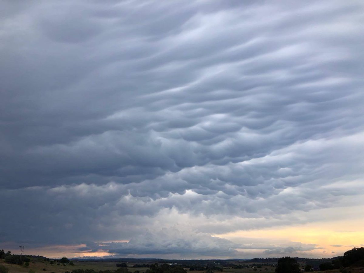 If you took any pictures of rain at your place this week, or you've snapped an amazing image somewhere in the #BurnettInland this year, why throw your hat in the ring for the 2020 BIEDO Best Shots Comp 📷 ? Entries close 30 November! ➡️ biedo.org.au/2020-best-shot…