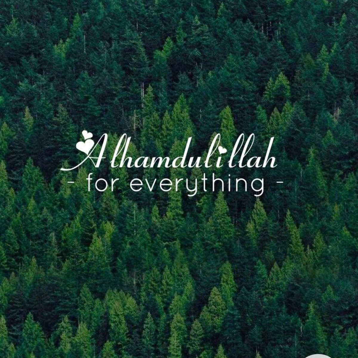 guidecrowd's tweet image. Alhamdulillah