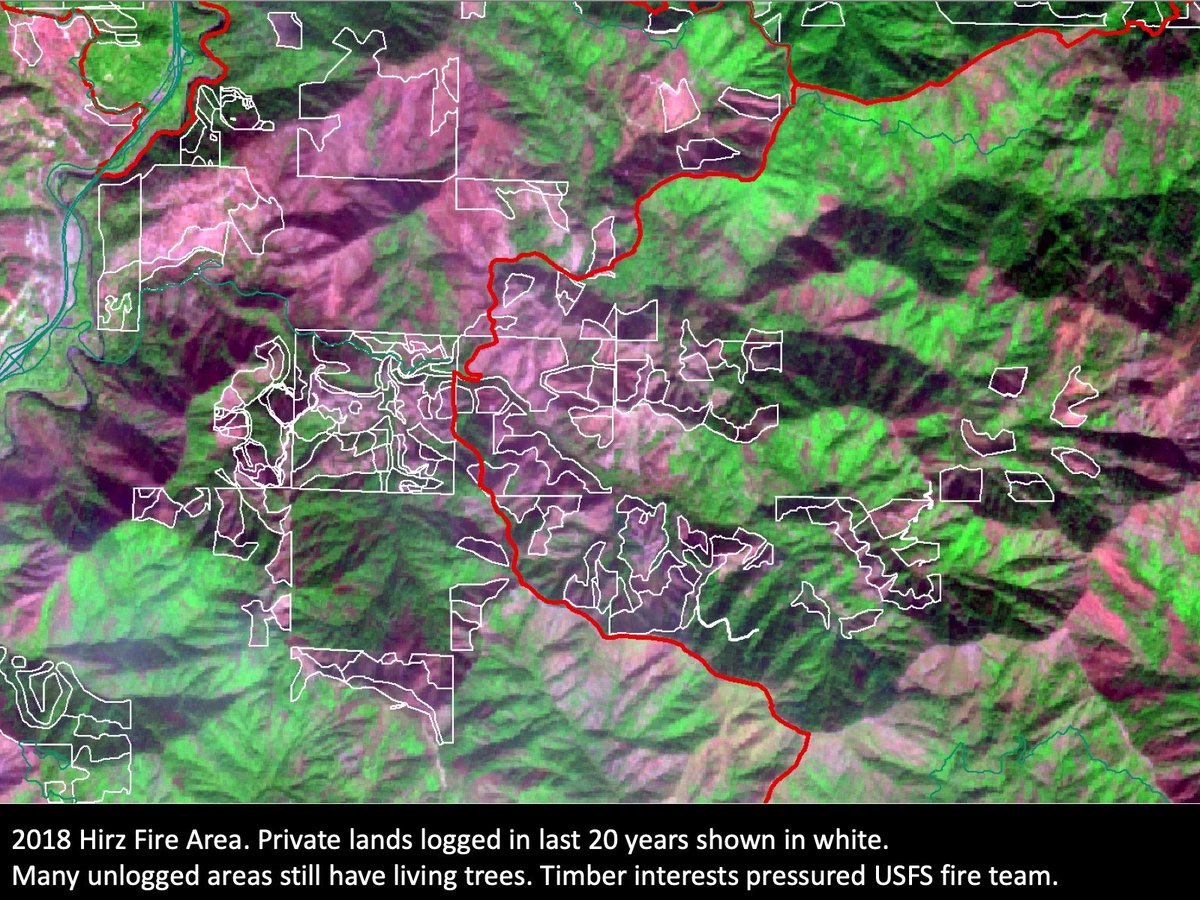 When a Federal fire team picks a 'big box' strategy for their fire, it may result in beneficial outcomes for the public lands, but private timberlands inside the box often get nuked. Clearcut forestry has decreased fire resiliency across vast stretches of private lands in NorCal.