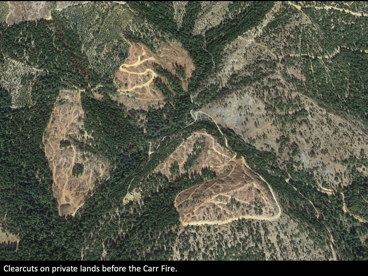 When a Federal fire team picks a 'big box' strategy for their fire, it may result in beneficial outcomes for the public lands, but private timberlands inside the box often get nuked. Clearcut forestry has decreased fire resiliency across vast stretches of private lands in NorCal.