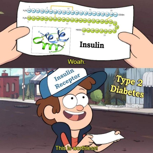 LetsPharmonize's tweet photo. The REAL difference between T1DM and T2DM 😂😂😂
Meme Creds: @ShaneGarrettson 

#pharmacy  #Medical  #medicalmeme #pharmacymeme #TwitteRx #LetsPharmonize https://t.co/YFoY7nzby7