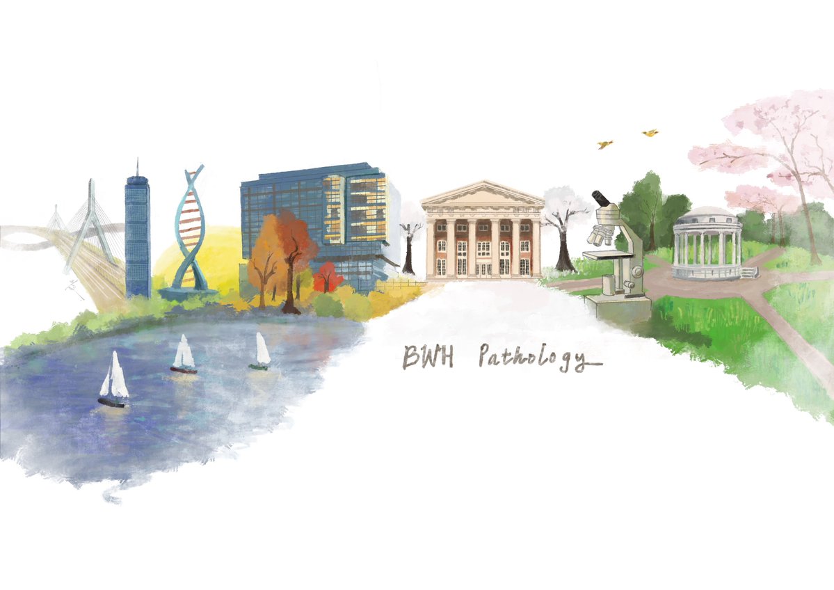 BWHPath's tweet image. Hello Twitter!

BWH Pathology will be posting an anatomic pathology case of the week every Monday and a gross case of the week every Thursday. Follow us @BWHPath!

Digital watercolor painting by Dr. Melissa Zhao (@melissamzhao), PGY2 resident. #pathology