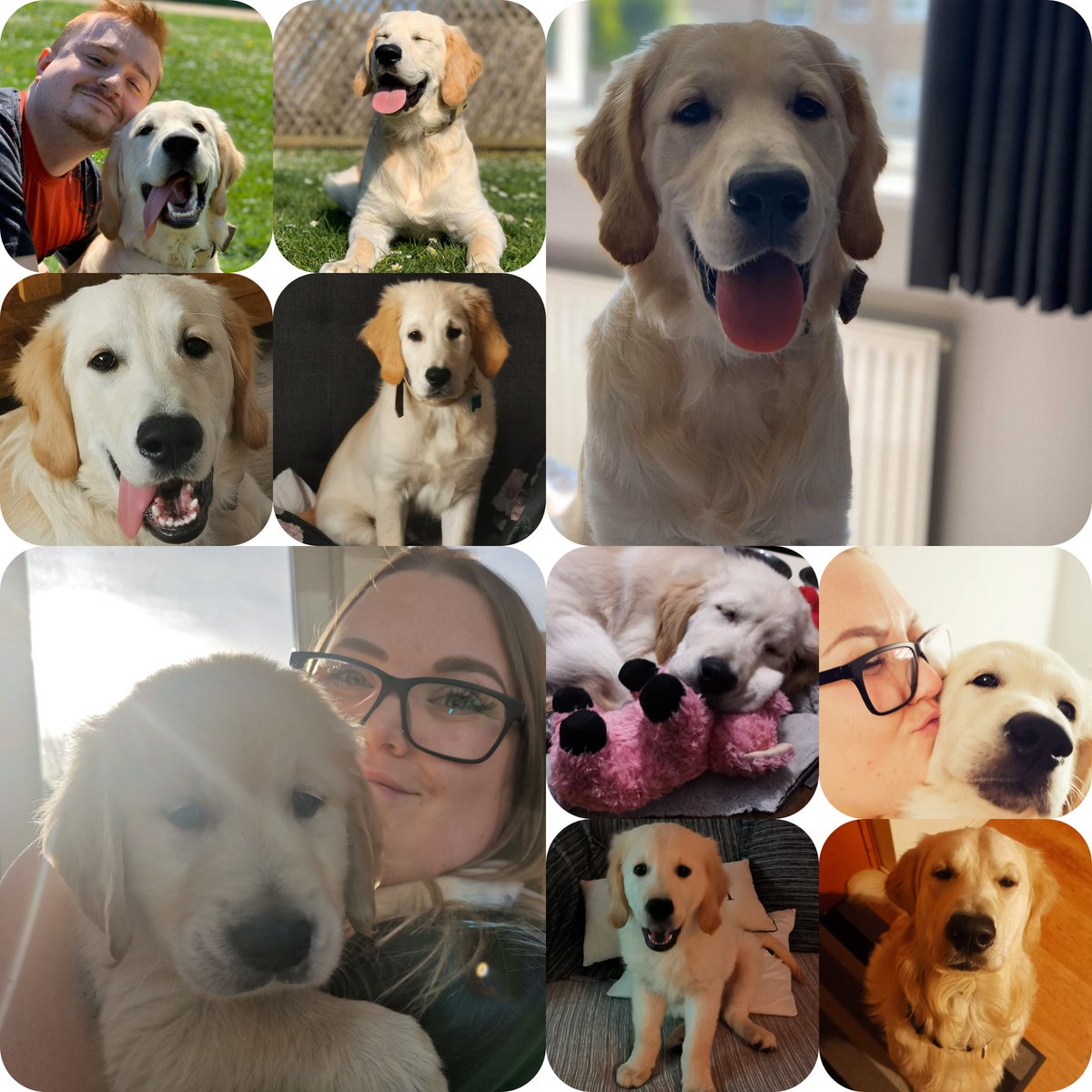 Gavin Milroy tweet media