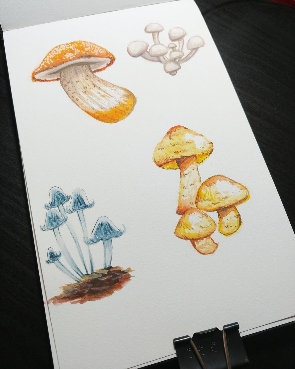 Playing around with gouache today! Made some little mushroom studies.

#gouachepainting #artstudy #mushroompainting #mushrooms #illustration