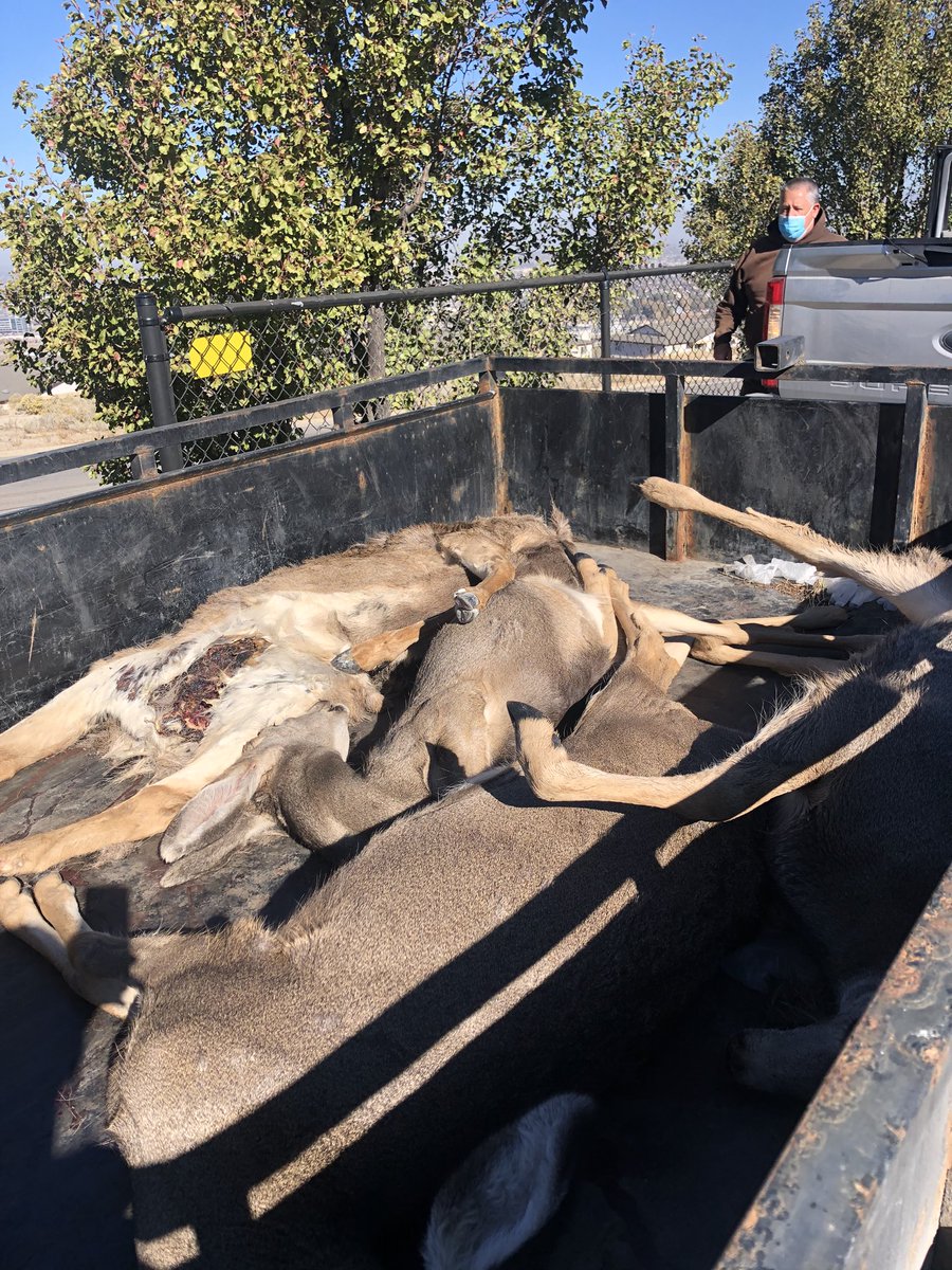 Before today, I figured that this roadkill removal was only needed once in awhile. But along the Wasatch Front, we have a crew that does this 8 hours a day, 5 days a week. They average removing 200 animals a month (and that’s just in one of our 5 regions!)