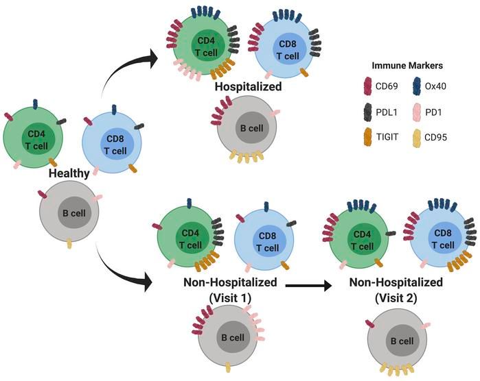 jclinicalinvest's tweet photo. Just Published @goepfert_paul @NerdmannID @UABSOM: Sustained cellular immune dysregulation in individuals recovering from SARS-CoV-2 infection: https://t.co/5a9HydmhgY
#COVID_19 #Immunology https://t.co/aY6WXODZEX
