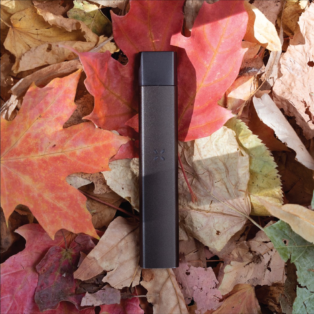 7ACRESmj's tweet photo. The Jack Haze @PAXvapor pods are a great way to treat yourself this fall. This pod is formulated with terpenes from our Jack Haze cultivar.
Learn more: https://t.co/2RHIBcSfl4
#JACKHAZE #RespectThePlant #cannabis https://t.co/M7pPN7Ryjb
