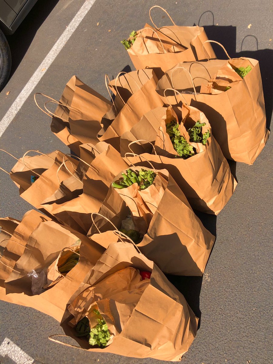 my goal this year was to volunteer with a non profit and bring fresh produce and vegan alternatives to food deserts and low income areas. everyone should have access to these items. by June we delivered over 13,000+ and counting. let’s discuss accessibility: