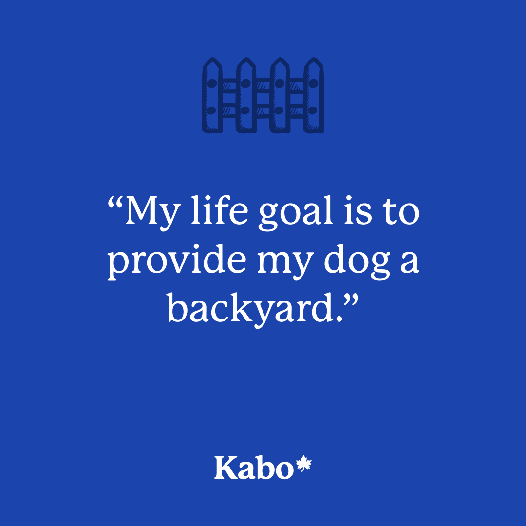 Kabo tweet media