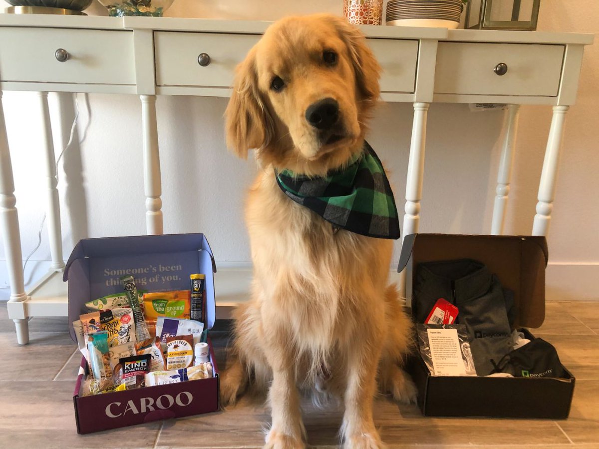 paycomcareers's tweet photo. We love our #PaycomSwag just about as much as we love our #PaycomPets! Take a look at these awesome pics our team tagged us in!
Want to be featured as well? Show us how #PaycomProud you are and show off your Paycom swag!
#SellForPaycom #Careers #lovewhereyouwork #paycompeople https://t.co/ULrDjZxIXX