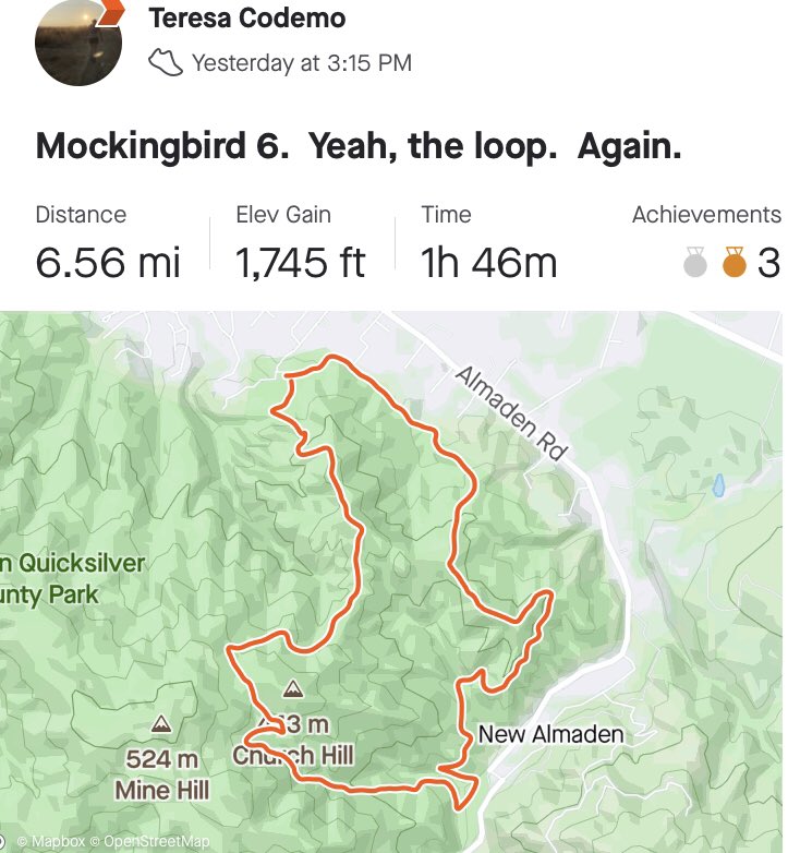 Teresa Codemo tweet media