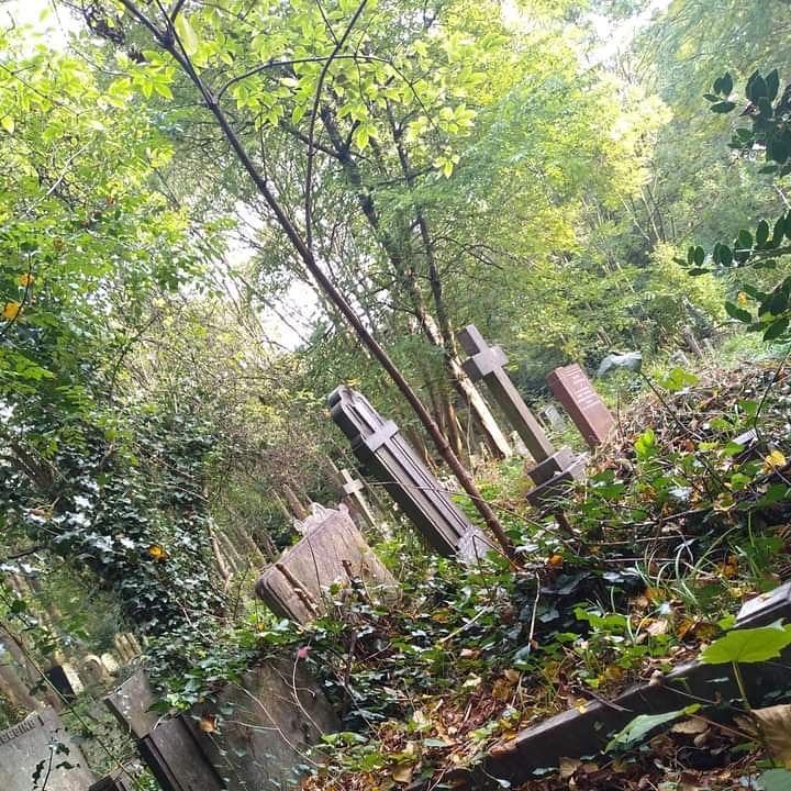 FoTHCP tweet picture