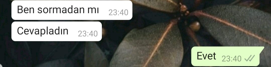 bir arkadaşlığın gelebileceği max seviye budur