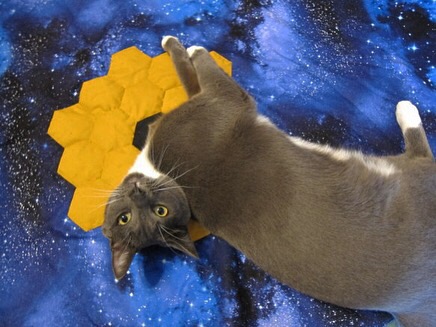 One of Gen Bailie's cats lounges on her Webb-themed quilt.