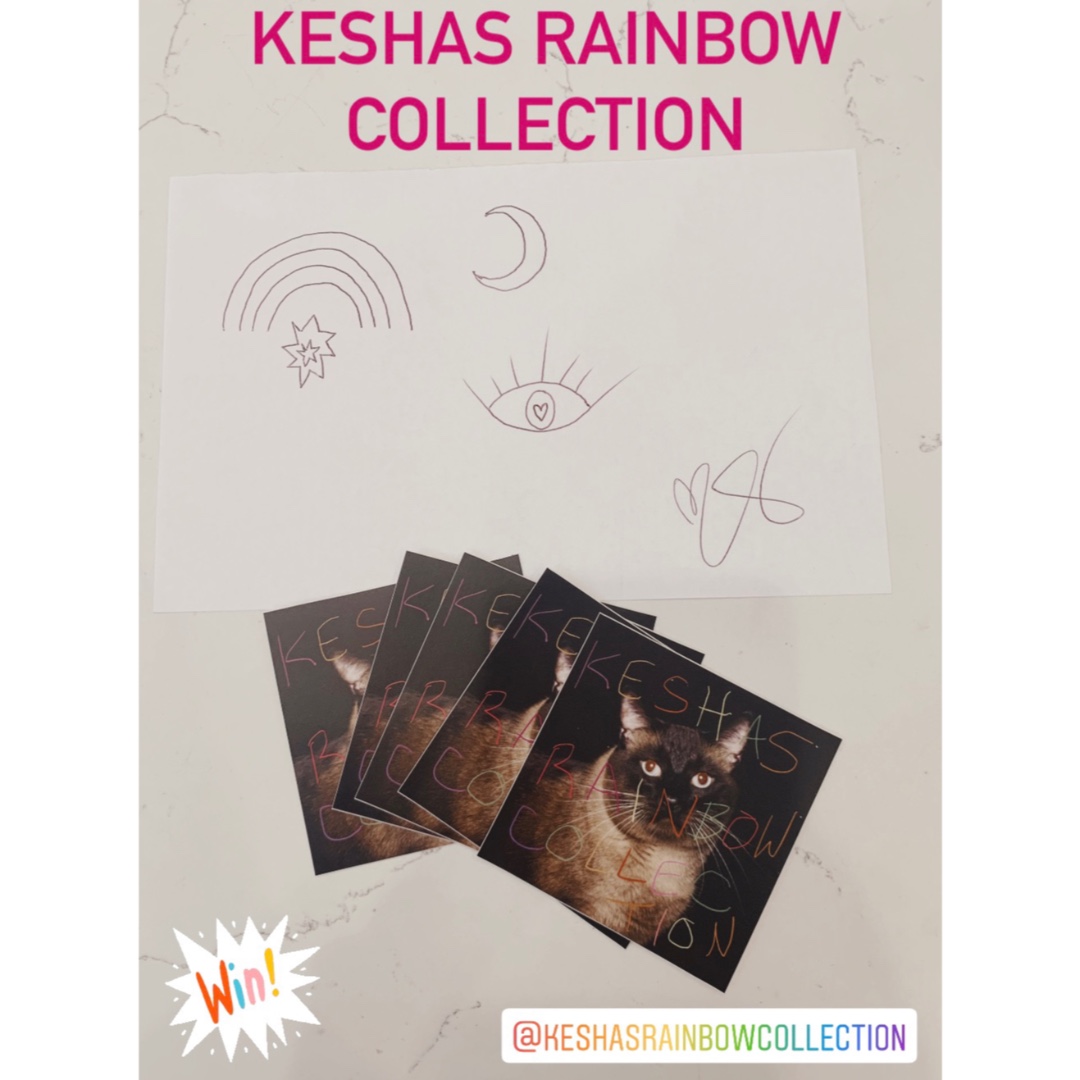 KeshasRainbowCollection tweet media