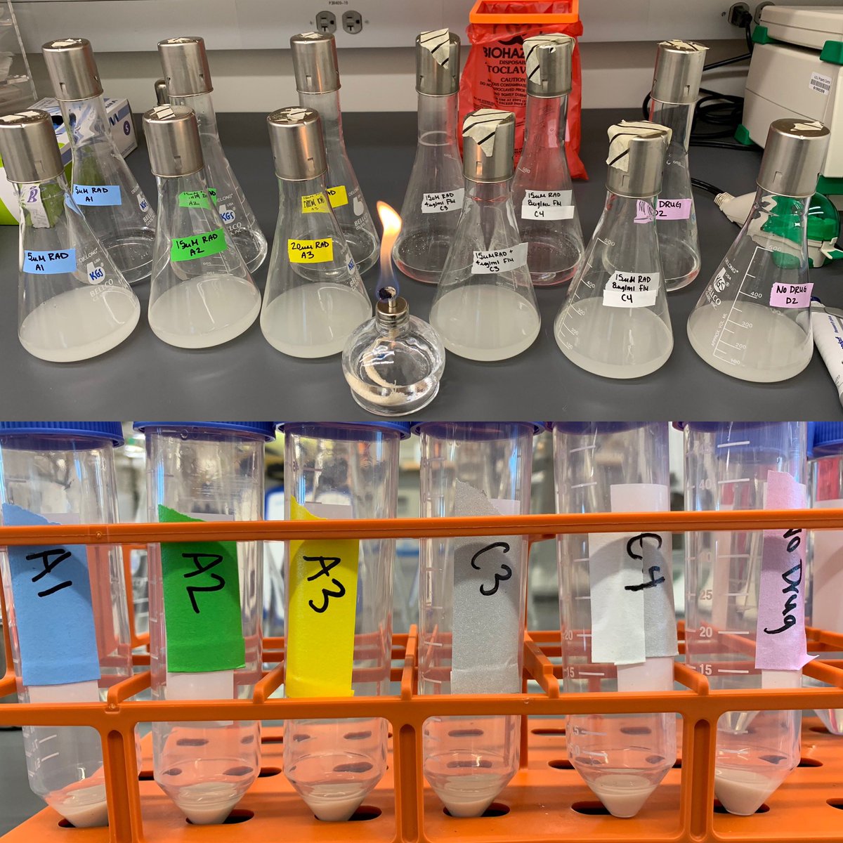 Kara Schmidlin tweet media