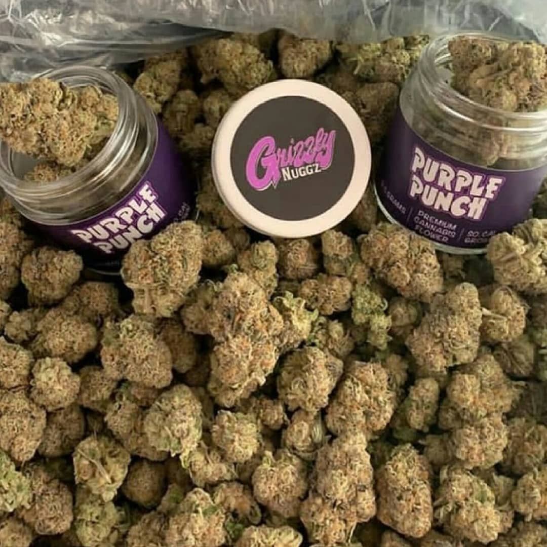 pluggrower's tweet image. 