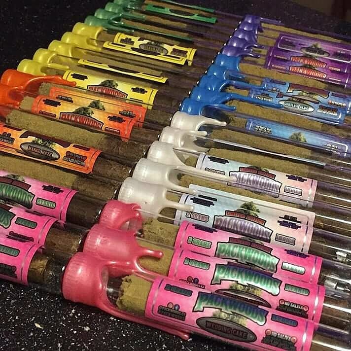 pluggrower's tweet image. 