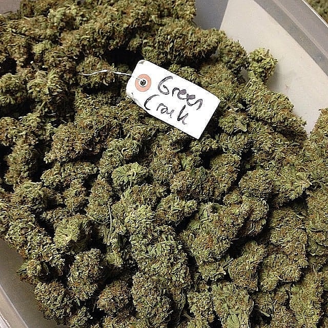 pluggrower's tweet image. 