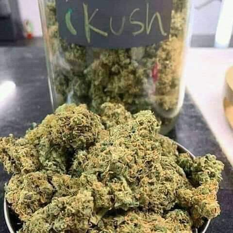 pluggrower's tweet image. 