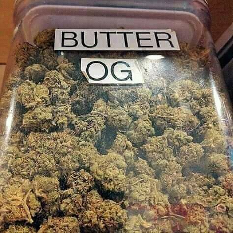 pluggrower's tweet image. 