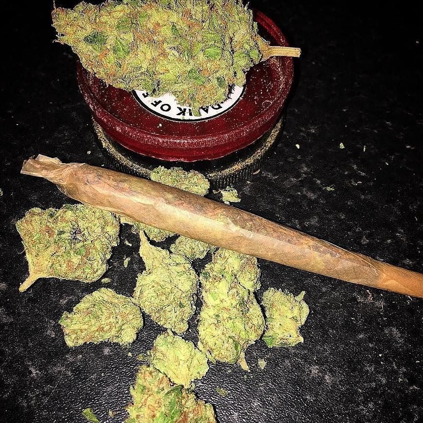 pluggrower's tweet image. 