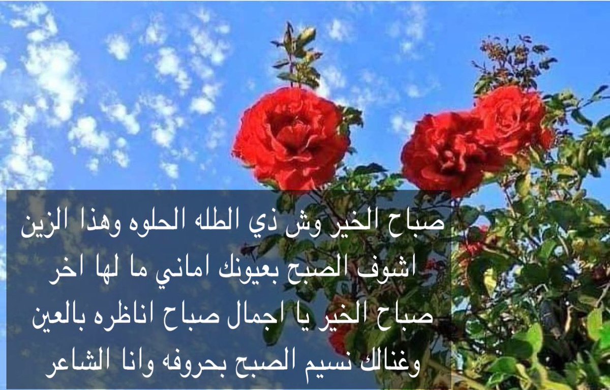 صباح الخير وش ذي الطله الحلوه وهذا الزين 
اشوف الصبح بعيونك اماني ما لها اخر 
صباح الخير يا اجمال صباح اناظره بالعين 
وغنالك نسيم الصبح بحروفه وانا الشاعر 
#بوحي 
#احمد_حامد 
#شعر 
#صباح_الخير 
 #الخميس_الونيس