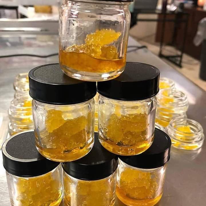 pluggrower's tweet image. 