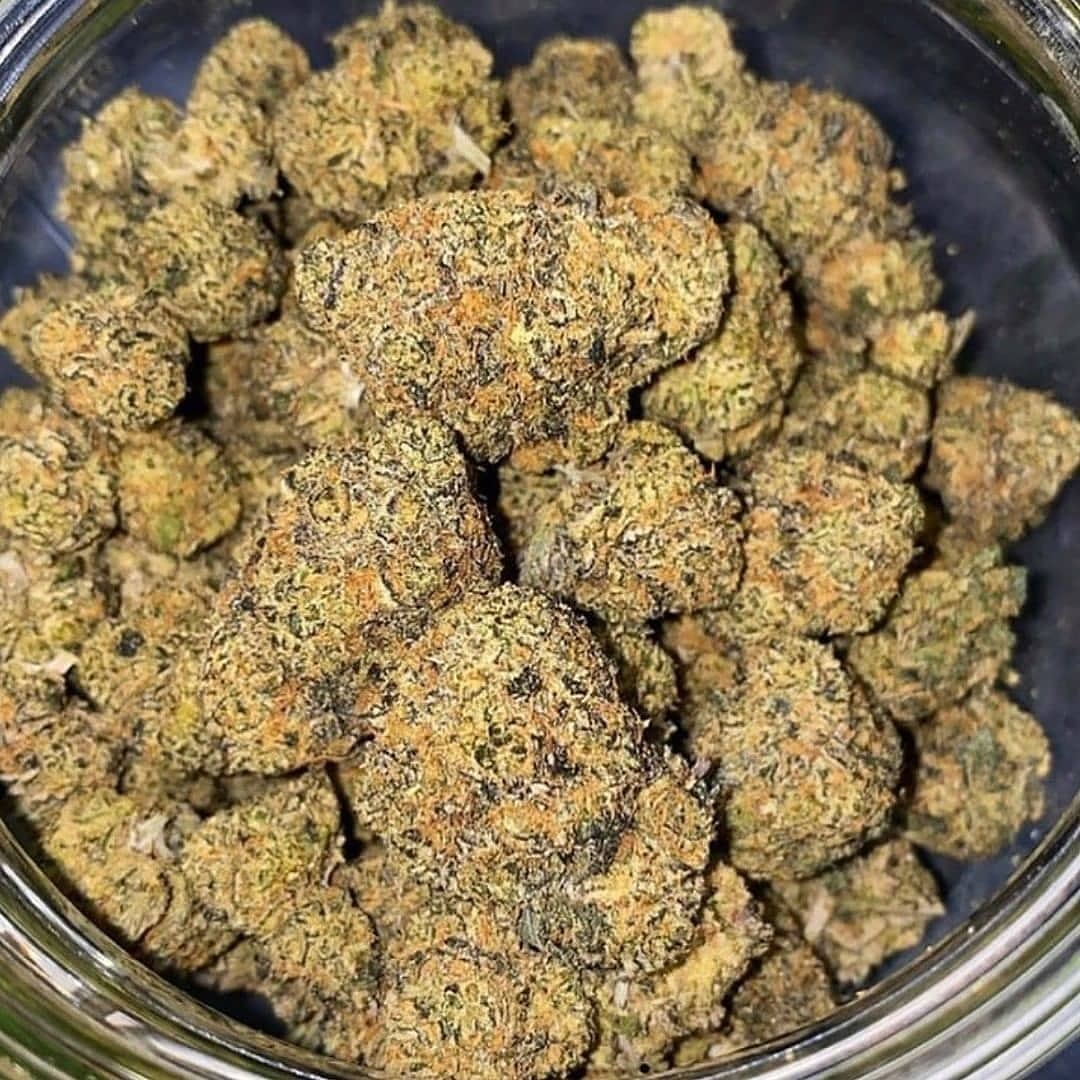 pluggrower's tweet image. 