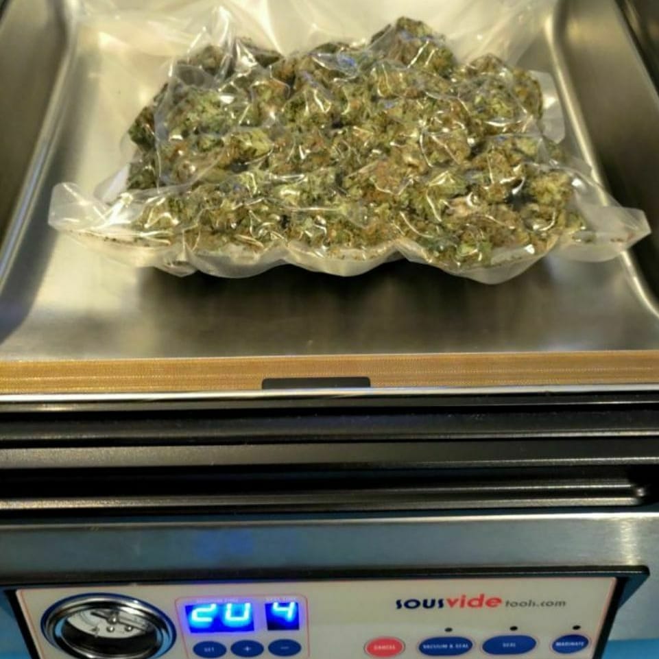 pluggrower's tweet image. 