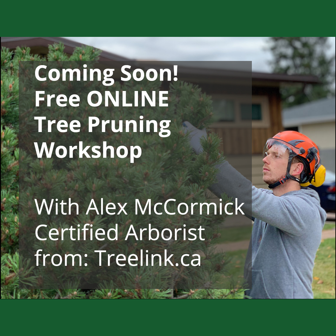 OFREfruit's tweet photo. We would like to host an ONLINE Tree Pruning Workshop with Alex McCormick from Treelink Arboriculture (https://t.co/7e7hqbNRYt). Please complete our 1 minute survey to let us know your interest. https://t.co/QlG7JvUJm2 #treelink #arborist #treepruning https://t.co/LslvPcLPwj