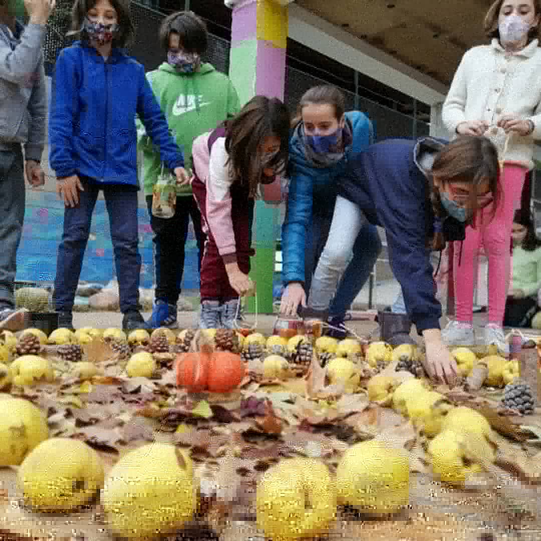 MayritActiva's tweet photo. Casi todas las celebraciones "modernas" tienen su origen o una conexión con el pasado, con la tierra, con las estaciones... En Mayrit lo sabemos y hoy hemos hecho, todxs juntxs, nuestra celebración del otoño y de la vida. https://t.co/b1LMnko0Uy