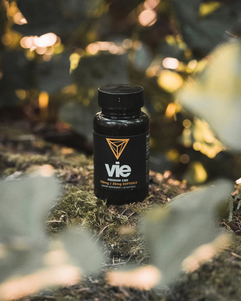 VieCBD's tweet photo. High quality #CBD that you can trust. 🌱 And we’ve made it easy for you to search for your bottle’s lab results, which are certified of quality assurance by a third-party lab. Visit https://t.co/SSGmNElW7W to learn more.

#viecbd #cbdoil #cbdhealth #cbdproducts #cbdsoftgels https://t.co/DNTxKzdO1j