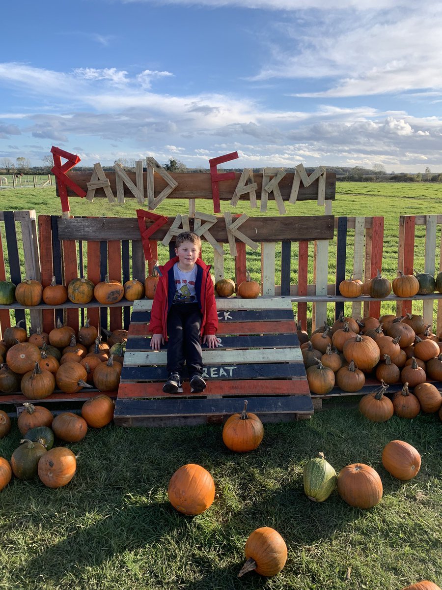 RachelG54646522's tweet photo. @GlowwormsStF Halloween trails and pumpkins for us https://t.co/0KoYzEhLpj