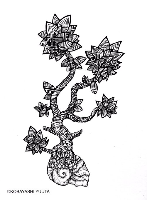 多肉植物のtwitterイラスト作品