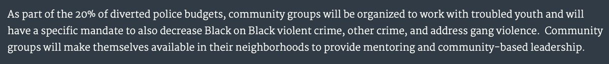 Man....they lost me at "Black on Black crime." This document purports to be "radical" but uses an anti-Black phrase (that's wrong, btw) in the "Black responsibility" section.