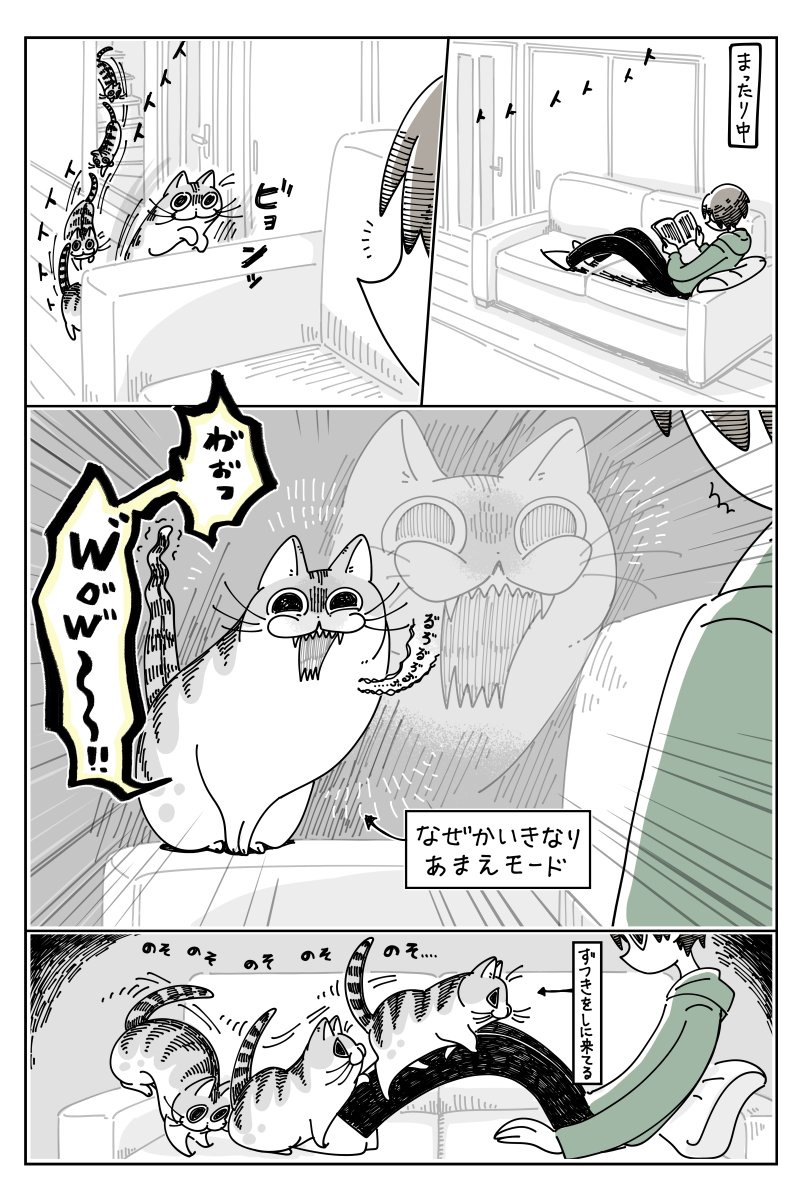 どうしても飼い主に頭突きをしたい猫 その勢いに思わず笑うww ツイッターで話題の漫画まとめ