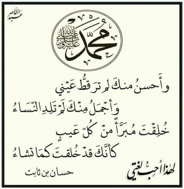 marwa fouda (@marwafouda7) on Twitter photo 