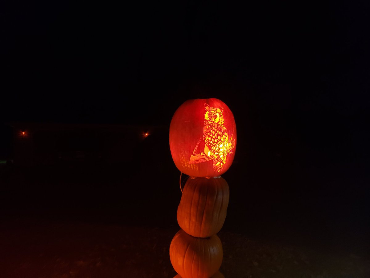 We took the kids to the amazing pumpkin display between here and Waupaca tonight. Enjoy!