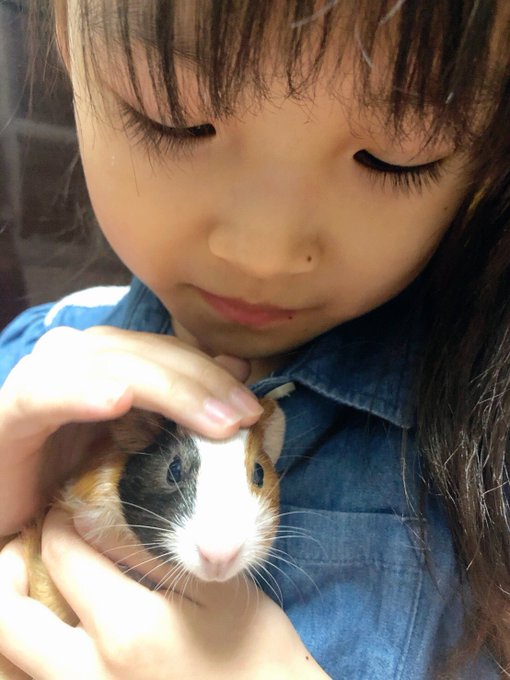 Twitterのコスプレ画像33