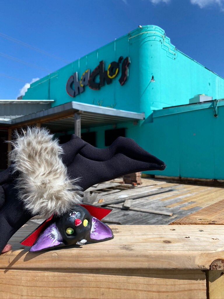 BatholomewBDT's tweet photo. Bat does a drive-thru! 
#batdoesthat #batober #batdoesday29 #2daysuntilhalloween #batdoessat #militarycityusa #sanatonio #batcantwait #chachos https://t.co/BjdCwXj0C1