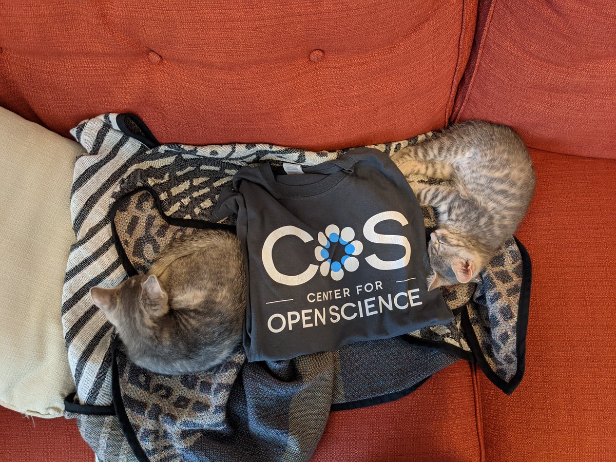 Courtney Soderberg tweet media