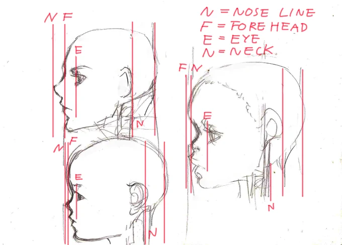 A profile study for different races. Umm... 